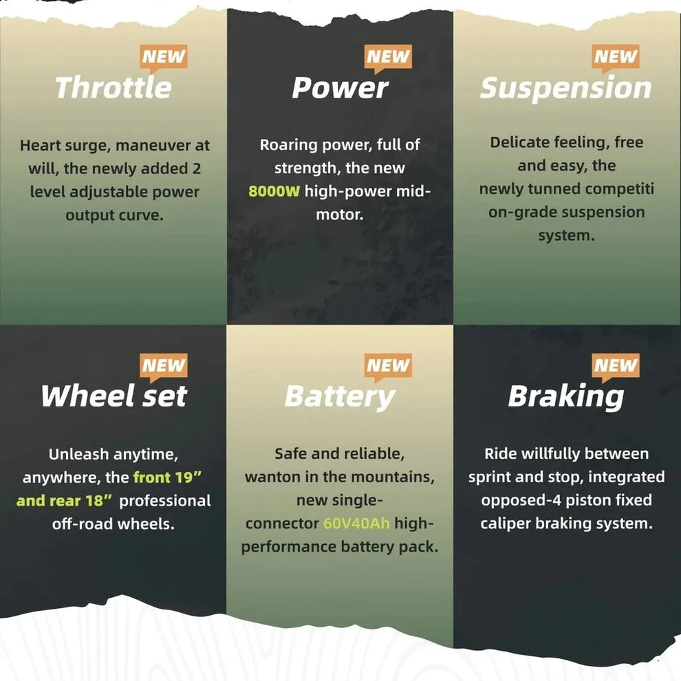 (FAST SHIPPING) 2025 Surron Light Bee X