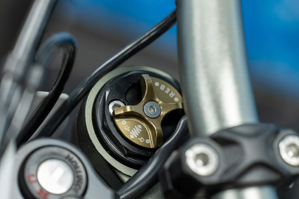 (FAST SHIPPING) 2025 (12.5KW) Surron Ultra Bee